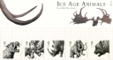 Ice Age Mammals