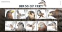 Birds of Prey