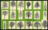 View enlarged 'PSB: A Treasury of Trees' Image.