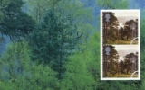 View enlarged 'PSB: Trees - Pane 1' Image.