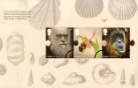 View enlarged 'PSB: Charles Darwin - Pane 3' Image.