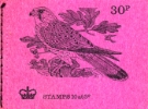 Stitched: New Design: 30p Birds 5 (Kestrel)