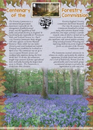 50193 | 13.08.2019 - Centenary of the Forestry Commission | Forests | £25.00