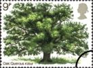 View enlarged 'British Trees - The Oak' Image.