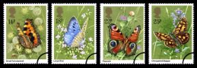 View enlarged 'Butterflies' Image.