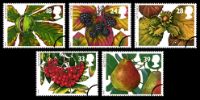 View enlarged '4 Seasons: Autumn' Image.