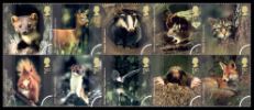 View enlarged 'Woodland Animals' Image.