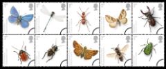 View enlarged 'British Insects' Image.