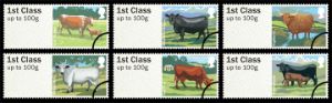 View enlarged 'Farm Animals: Series No.3, Cattle' Image.