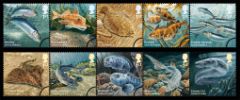 View enlarged 'Sustainable Fish' Image.