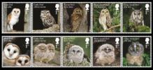 View enlarged 'Owls' Image.