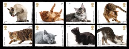 View enlarged 'Cats' Image.