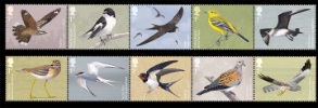 View enlarged 'Migratory Birds' Image.