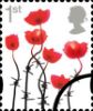 Lest We Forget - Poppies Small Format (Self Ad)
