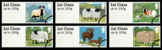 Farm Animals: Series No.1, Sheep