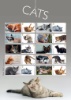 Cats: Generic Sheet