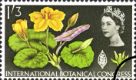 Botanical Congress (Phos): 1s 3d