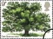 Click to view all covers for British Trees - The Oak