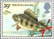 Freshwater Fish: 29p