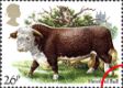 British Cattle: 26p