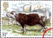 British Cattle: 31p