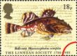 Linnean Society: 18p