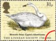 Linnean Society: 31p