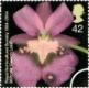 Royal Horticultural Society: 42p