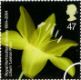 Royal Horticultural Society: 47p