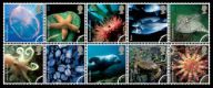 Click to view all covers for Sea Life