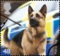 Working Dogs: 48p