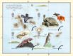 Click to view all covers for Charles Darwin: Miniature Sheet