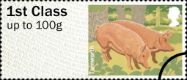 Farm Animals: Series No.2, Pigs: 1st