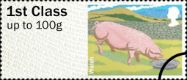 Farm Animals: Series No.2, Pigs: 1st