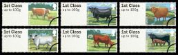 Click to view all covers for Farm Animals: Series No.3, Cattle