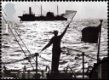 Merchant Navy: 1st (MS)