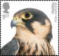 Birds of Prey: 1st (Self Adhesive)