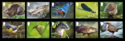 Click to view all covers for River Wildlife