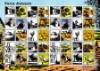 Click to view all covers for Farm Animals: Generic Sheet