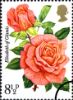 30.06.1976
Roses: 8 1/2p