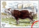 06.03.1984
British Cattle: 31p