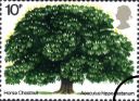 British Trees - The Horse Chestnut