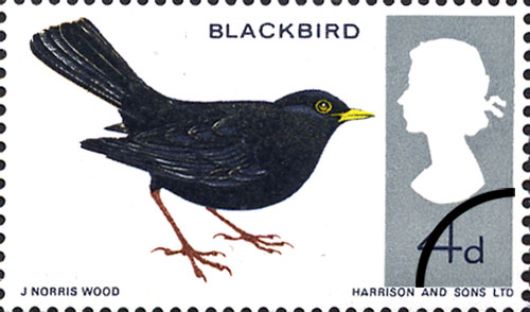 British Birds (Phosphor)