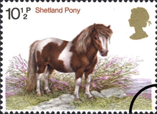 Shire Horse Society