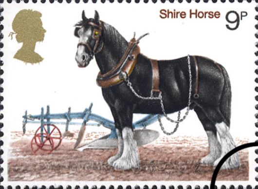 Shire Horse Society