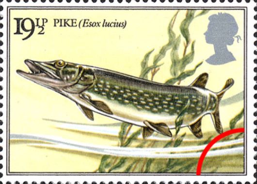 Freshwater Fish