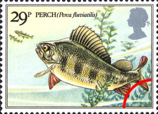 Freshwater Fish