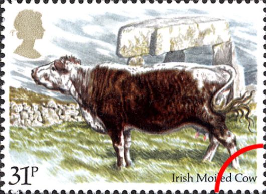 British Cattle