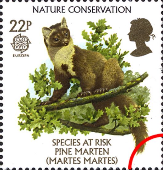 Species at Risk