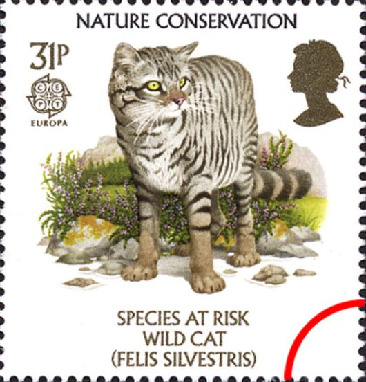 Species at Risk